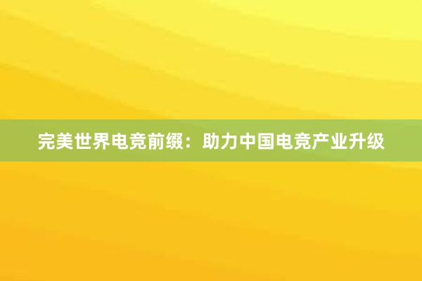 完美世界电竞前缀：助力中国电竞产业升级