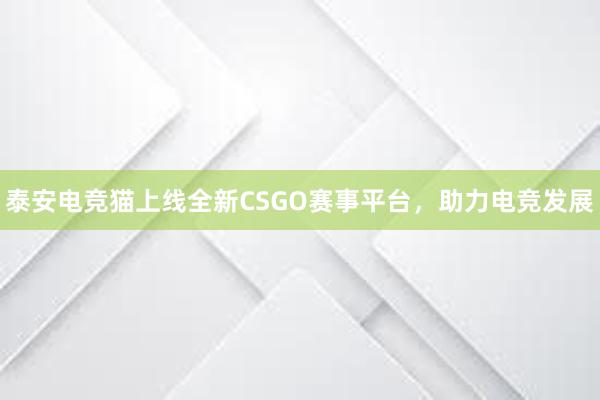 泰安电竞猫上线全新CSGO赛事平台，助力电竞发展